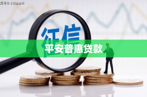 久治平安普惠贷款