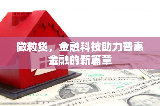 成县微粒贷，金融科技助力普惠金融的新篇章