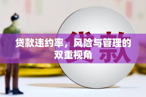 大英贷款违约率，风险与管理的双重视角
