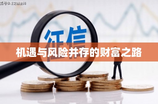 岳塘机遇与风险并存的财富之路
