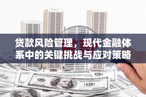 官渡贷款风险管理，现代金融体系中的关键挑战与应对策略