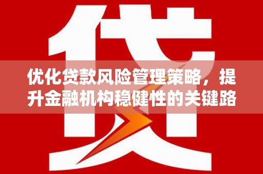 西昌优化贷款风险管理策略，提升金融机构稳健性的关键路径