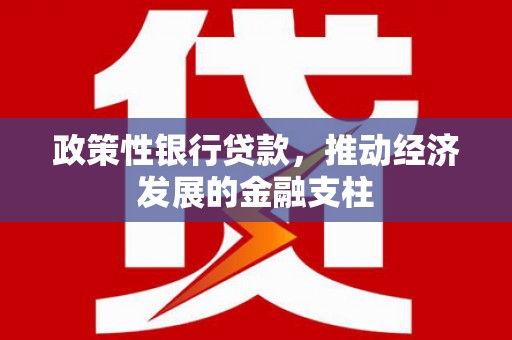 贵溪政策性银行贷款，推动经济发展的金融支柱