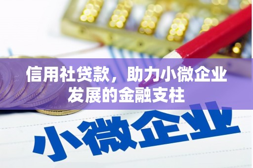 太保信用社贷款，助力小微企业发展的金融支柱