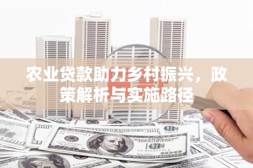 上林农业贷款助力乡村振兴，政策解析与实施路径