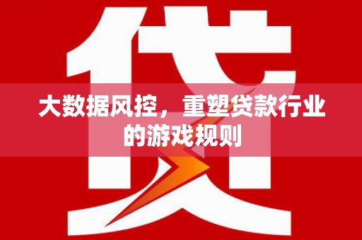 定陶大数据风控，重塑贷款行业的游戏规则