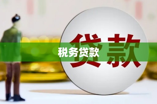 呼和浩特税务贷款
