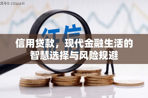 离石信用贷款，现代金融生活的智慧选择与风险规避
