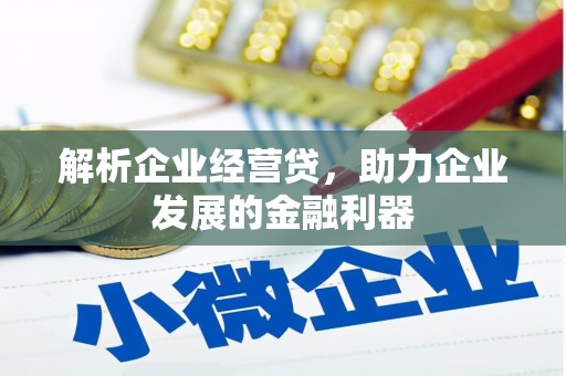 天桥解析企业经营贷，助力企业发展的金融利器