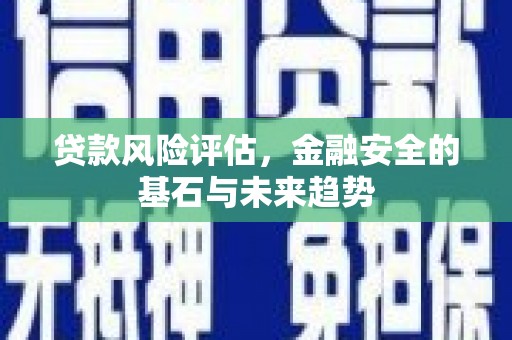 普湾新区贷款风险评估，金融安全的基石与未来趋势