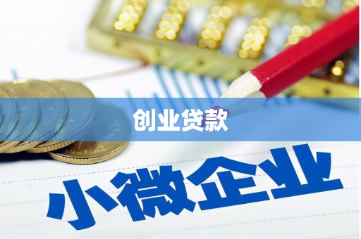 上林创业贷款