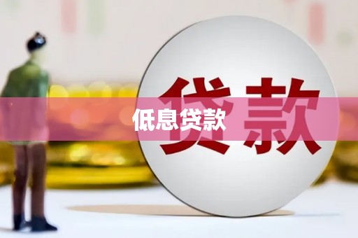 扶绥低息贷款