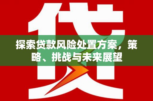湾仔区探索贷款风险处置方案，策略、挑战与未来展望