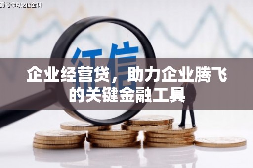 宜兰企业经营贷，助力企业腾飞的关键金融工具