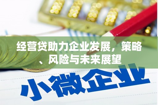 鹿城经营贷助力企业发展，策略、风险与未来展望