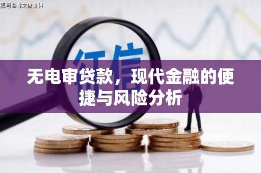 保康无电审贷款，现代金融的便捷与风险分析