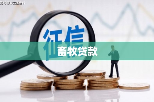 西吉畜牧贷款