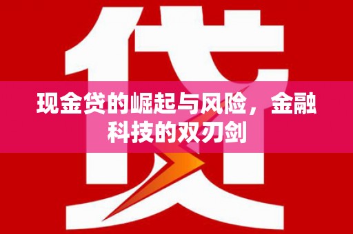 木垒现金贷的崛起与风险，金融科技的双刃剑