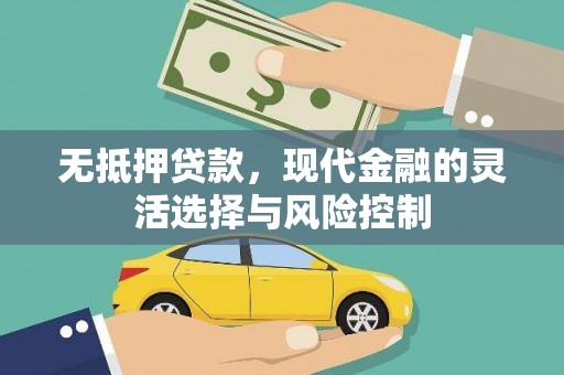 惠山无抵押贷款，现代金融的灵活选择与风险控制