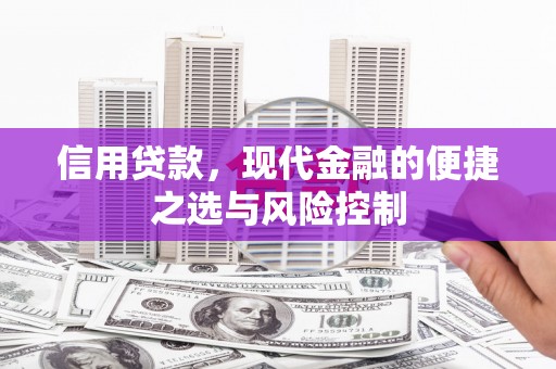 壶关信用贷款，现代金融的便捷之选与风险控制