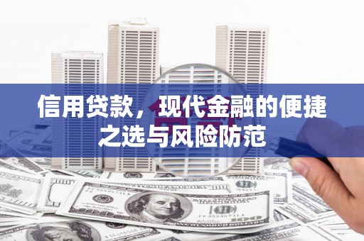 水林信用贷款，现代金融的便捷之选与风险防范