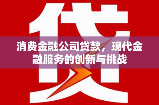 曲麻莱消费金融公司贷款，现代金融服务的创新与挑战