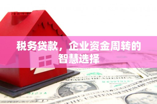 丹徒税务贷款，企业资金周转的智慧选择