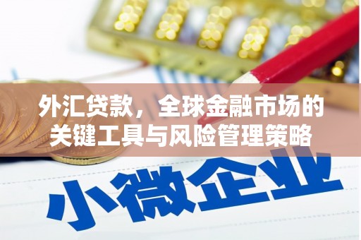林甸外汇贷款，全球金融市场的关键工具与风险管理策略