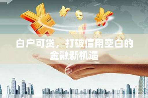 德钦白户可贷，打破信用空白的金融新机遇