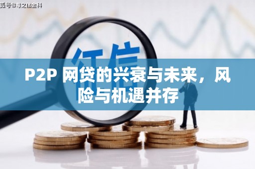 新埤P2P 网贷的兴衰与未来，风险与机遇并存