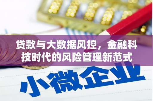 龙川贷款与大数据风控，金融科技时代的风险管理新范式