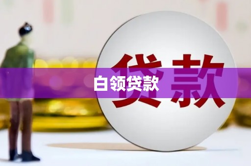 南海白领贷款