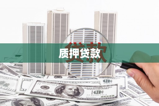特克斯质押贷款