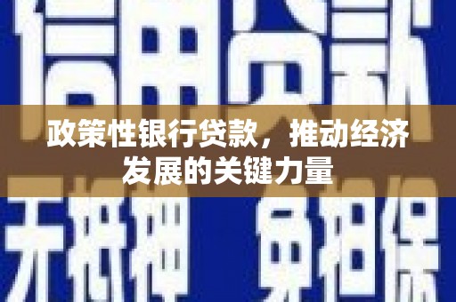 岱山政策性银行贷款，推动经济发展的关键力量