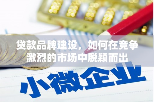 宛城贷款品牌建设，如何在竞争激烈的市场中脱颖而出