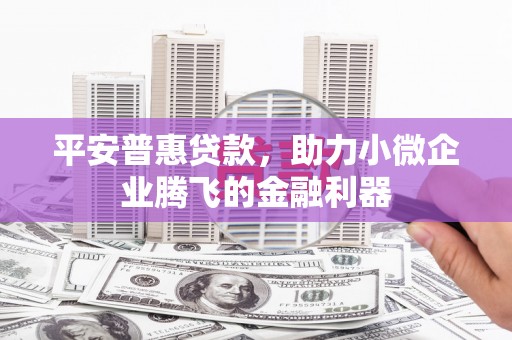 雨城平安普惠贷款，助力小微企业腾飞的金融利器