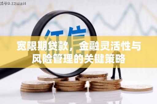 武功宽限期贷款，金融灵活性与风险管理的关键策略