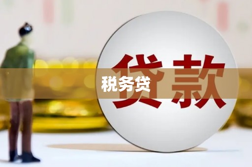 水里税务贷
