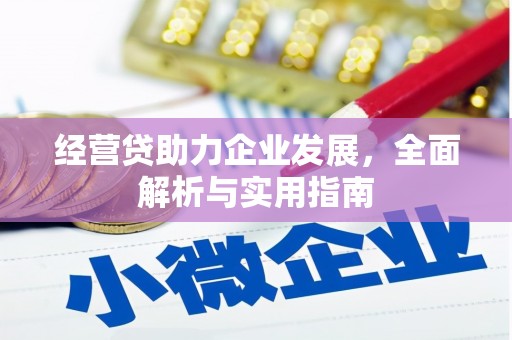 坡头经营贷助力企业发展，全面解析与实用指南