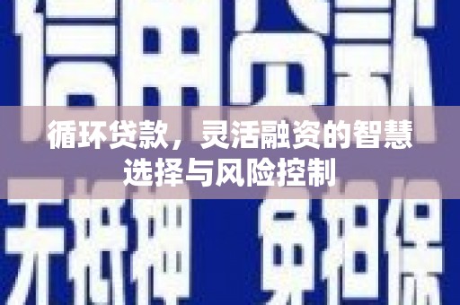 循化循环贷款，灵活融资的智慧选择与风险控制