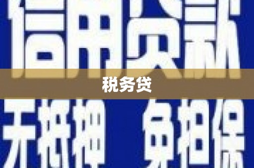 黟县税务贷