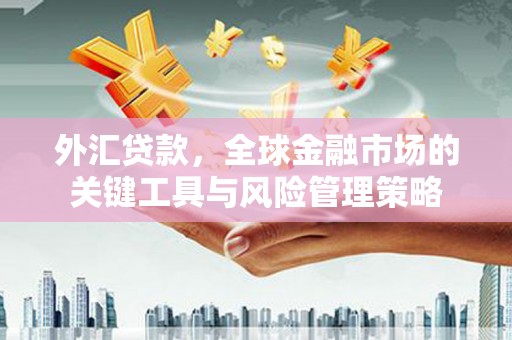 全南外汇贷款，全球金融市场的关键工具与风险管理策略