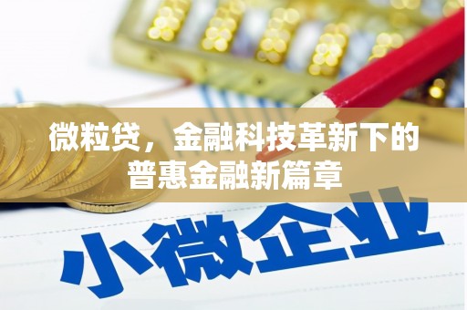 肃北微粒贷，金融科技革新下的普惠金融新篇章