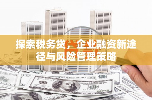 成都探索税务贷，企业融资新途径与风险管理策略