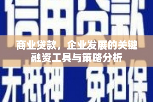 岫岩商业贷款，企业发展的关键融资工具与策略分析