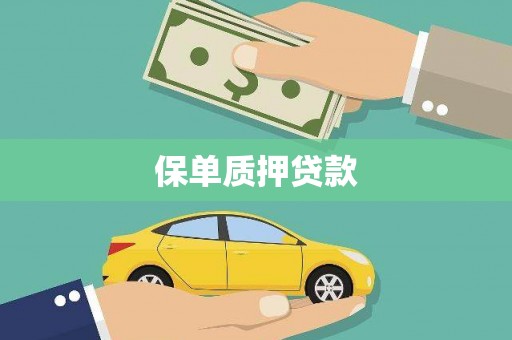 云阳保单质押贷款