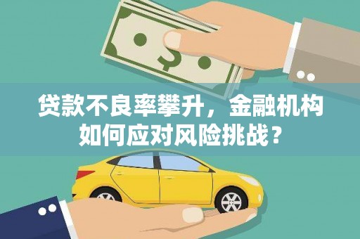 马村贷款不良率攀升，金融机构如何应对风险挑战？
