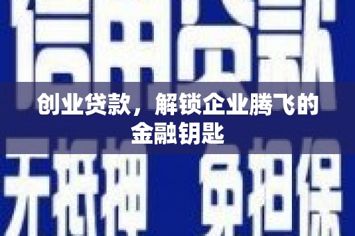 那曲创业贷款，解锁企业腾飞的金融钥匙