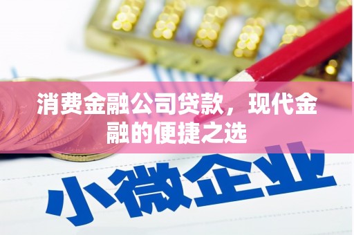 那坡消费金融公司贷款，现代金融的便捷之选