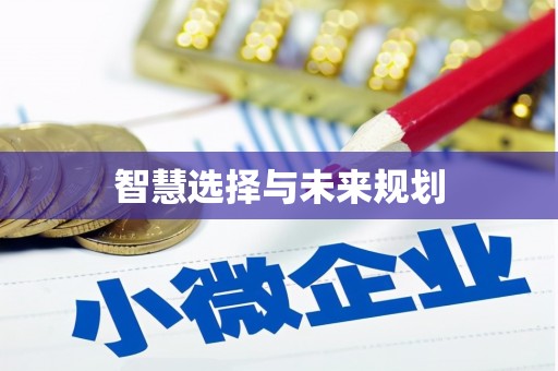 朔城智慧选择与未来规划